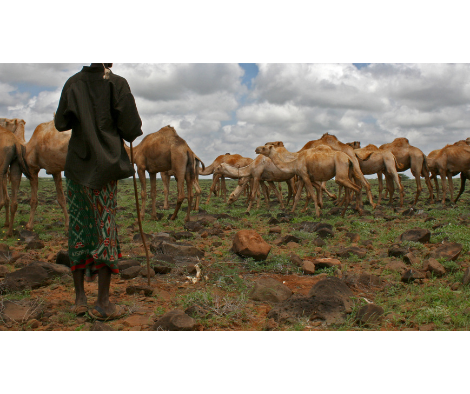 Pastoralist community success story